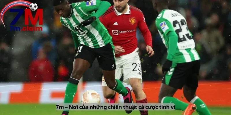 Nơi của những chiến thuật
