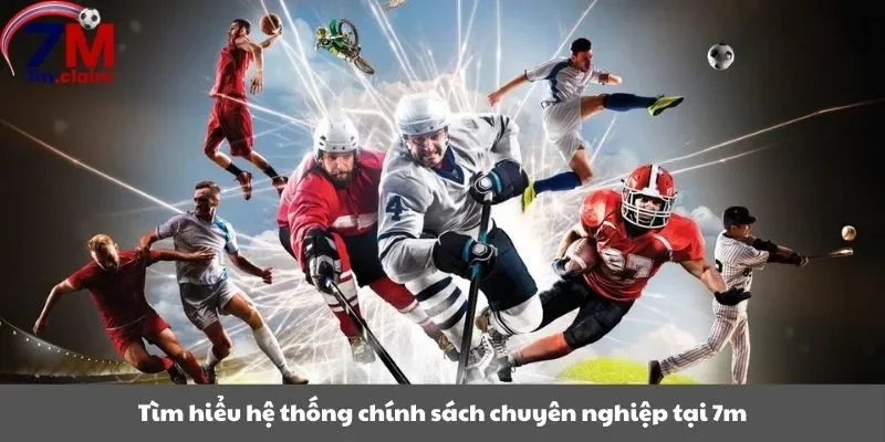 Tìm hiểu hệ thống chính sách chuyên nghiệp tại 7m