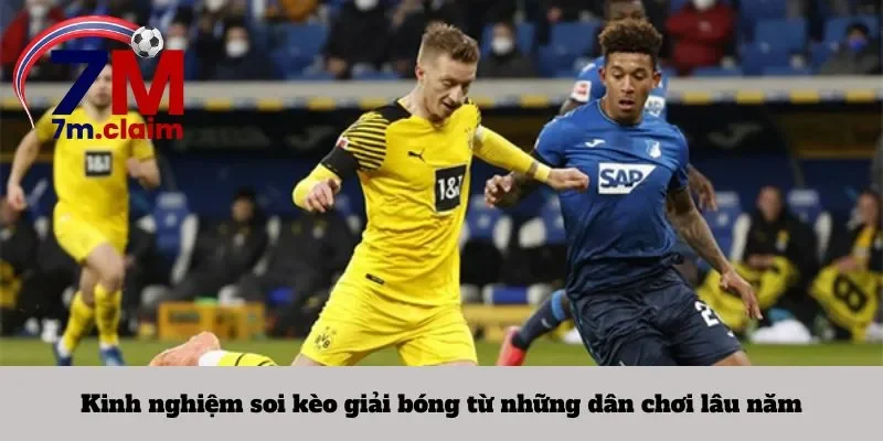 Kinh nghiệm soi kèo giải bóng từ những dân chơi lâu năm