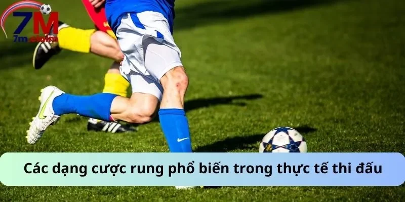 Các dạng cược rung phổ biến trong thực tế thi đấu