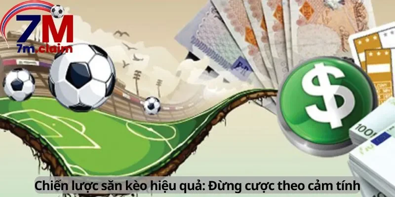 Chiến lược săn kèo hiệu quả