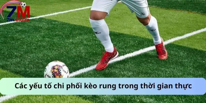 Các yếu tố chi phối kèo rung trong thời gian thực